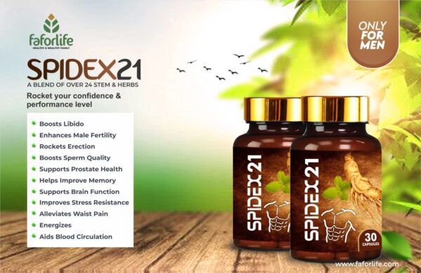 Fafor Life Spidex21: Men’s Herbal Vitality Blend - Image 2