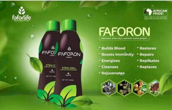 Natural Blood Sugar Management Combo: Faforon Herbal & Spidex15 for Immunity, Detox & Blood Sugar Regulation - Image 2